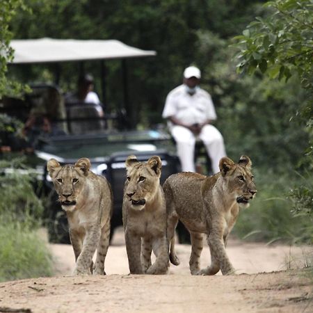 Kuname alojamiento Karongwe Game Reserve Exterior foto