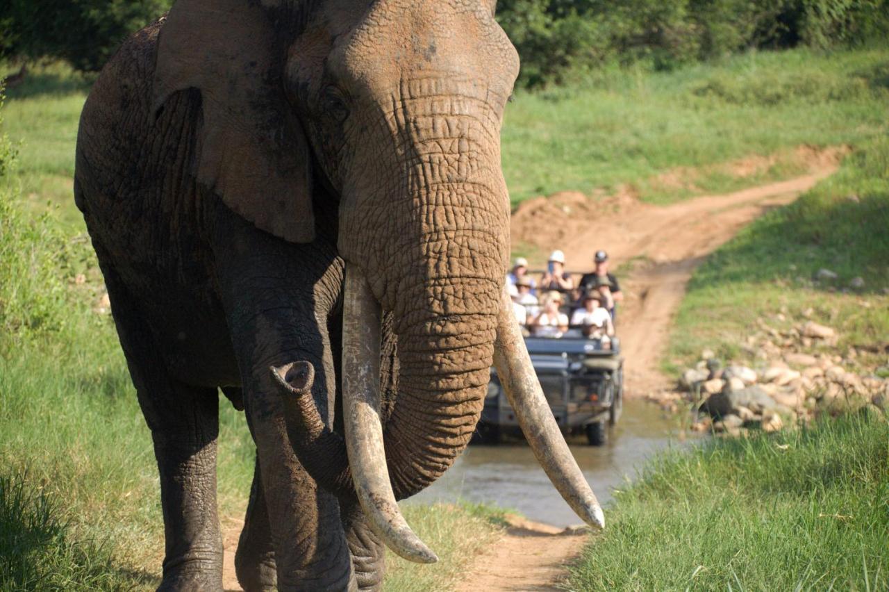 Kuname alojamiento Karongwe Game Reserve Exterior foto