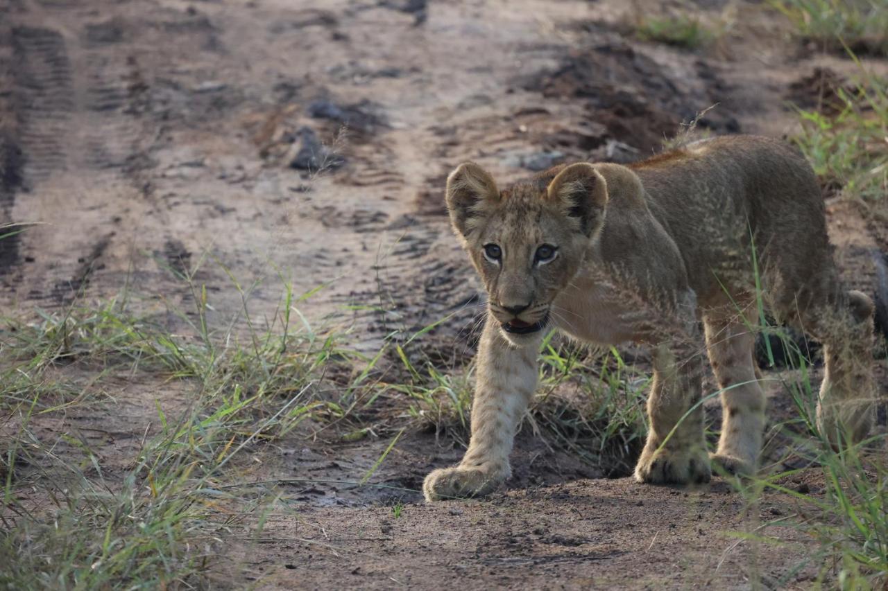 Kuname alojamiento Karongwe Game Reserve Exterior foto